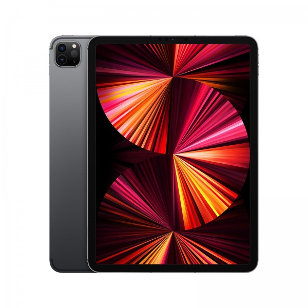 Apple iPad Pro 11 M1 Gris