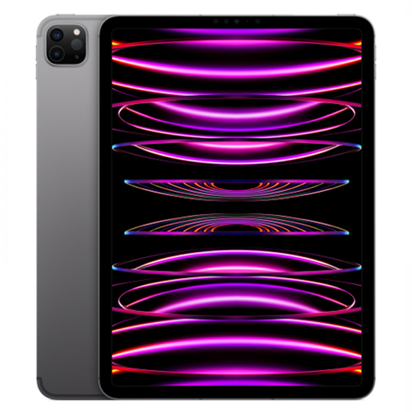Apple iPad Pro (2022) 11" Gris Espacial