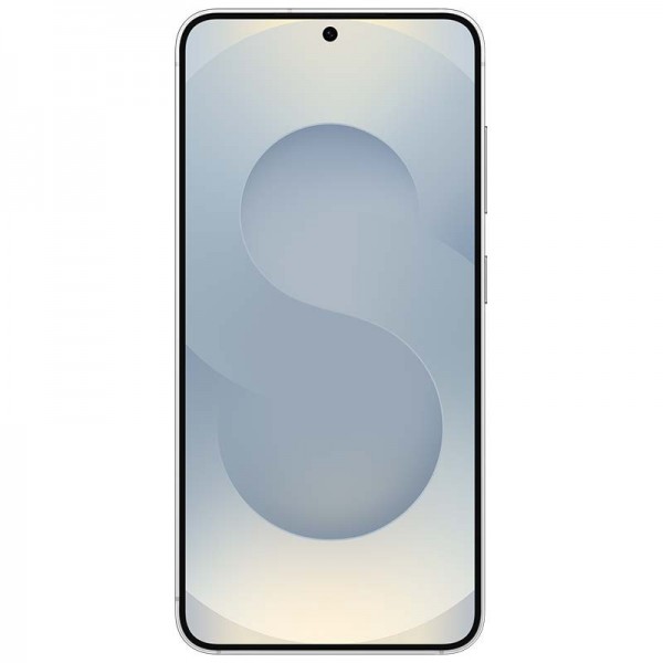 Samsung Galaxy S25 Plus - Gris