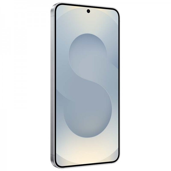 Samsung Galaxy S25 Plus - Gris