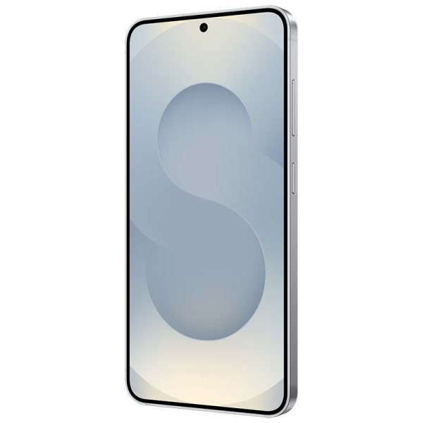 Samsung Galaxy S25 Plus - Gris