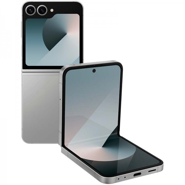 Samsung Galaxy Z Flip6 - Gris