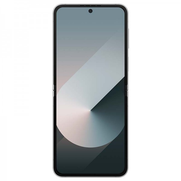 Samsung Galaxy Z Flip6 - Gris