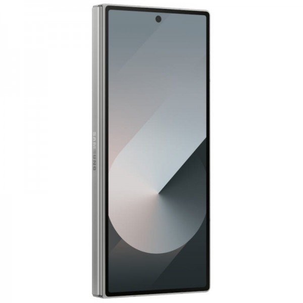 Samsung Galaxy Z Fold6 - Gris